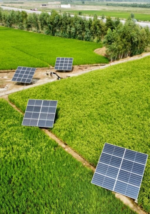 renewable energy